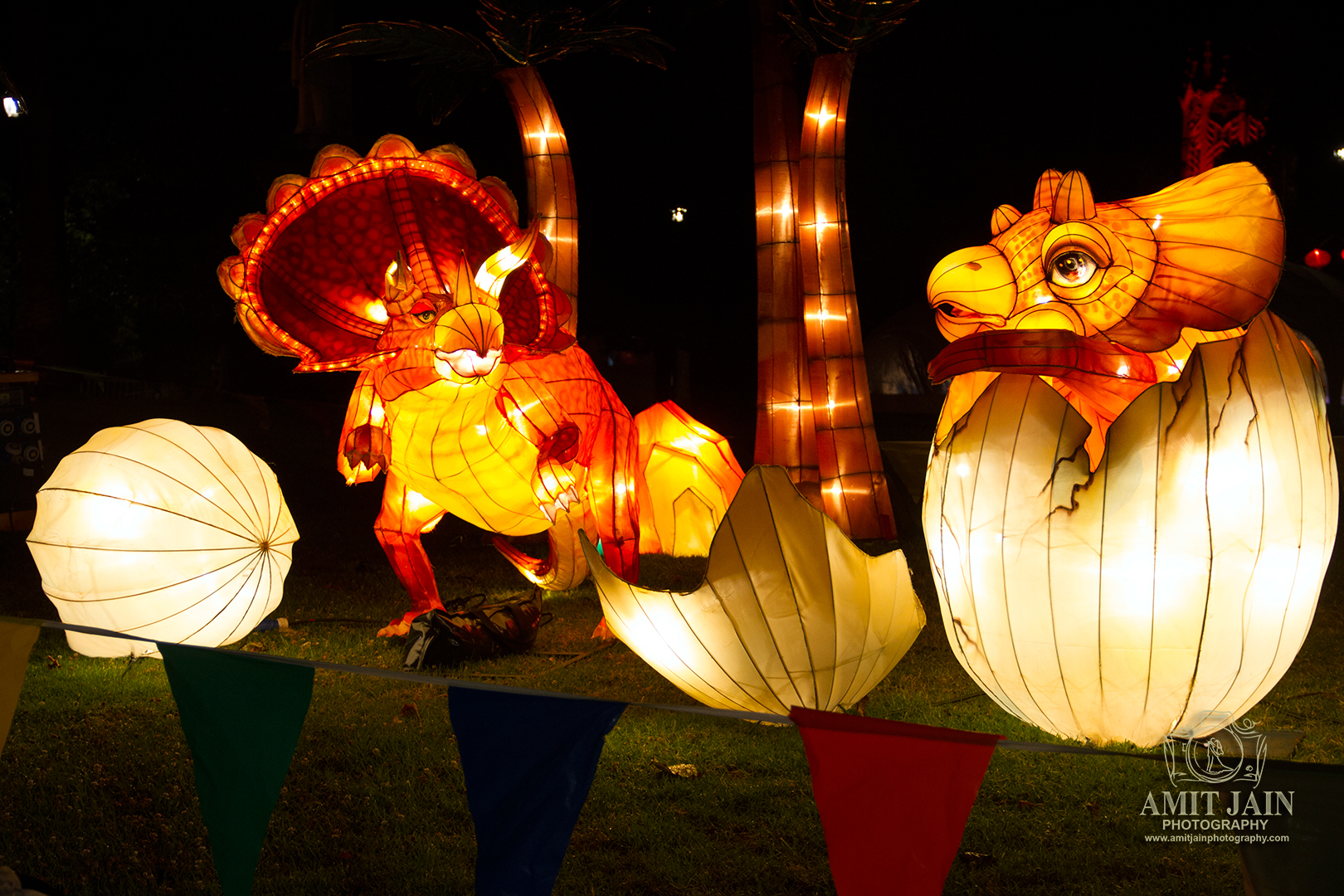 Lantern Festival 2014 Auckland - Albert Park 