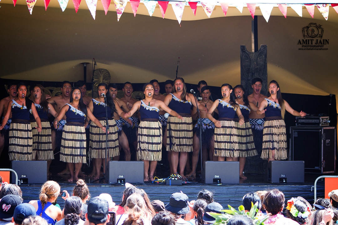 Pasifika Festival 2014 Auckland Event Photographer